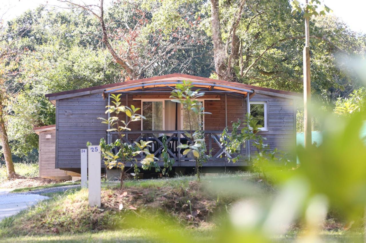 Camping Le Ruisseau Saint-André-de-Seignaux Esterno foto