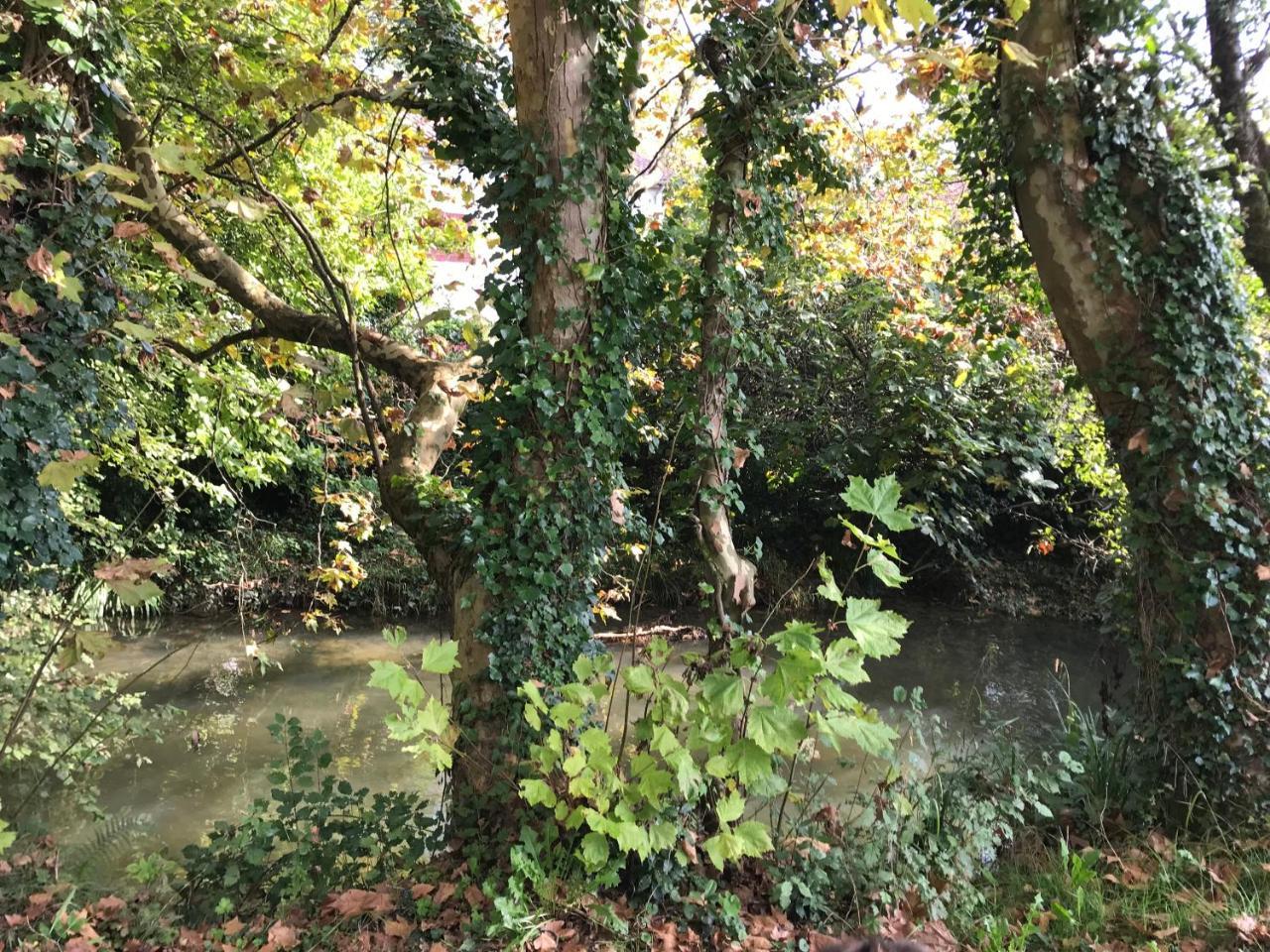 Camping Le Ruisseau Saint-André-de-Seignaux Esterno foto